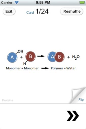 Imagen 0 para Molecular Biology Review