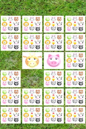 Imagen 0 para Animal Pairs