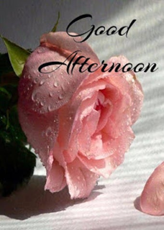 Imagen 0 para Good Afternoon