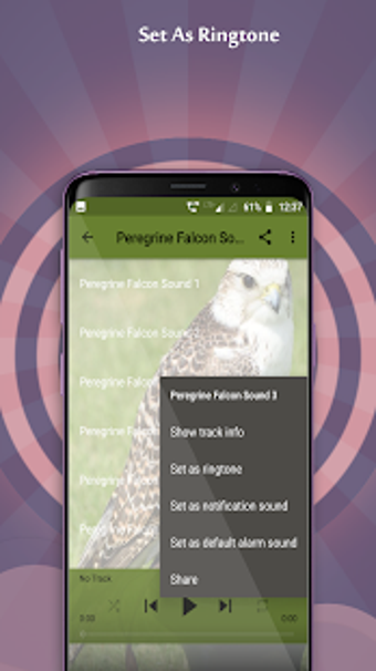 Image 0 for Peregrine Falcon Sounds