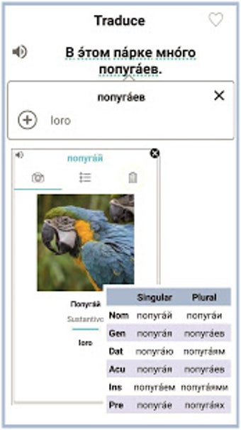 Imagen 0 para Nextlingua - Learn Englis…
