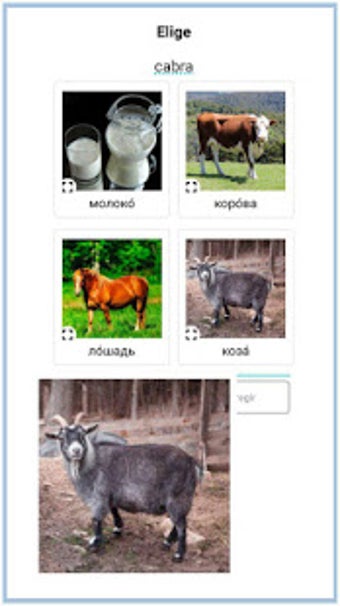 Imagen 1 para Nextlingua - Learn Englis…