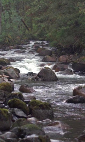 Image 1 for Stormy mountain river