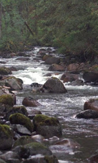 Image 0 for Stormy mountain river