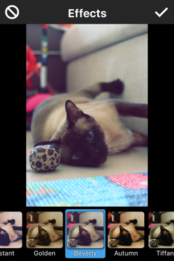 Image 1 for Instaflash