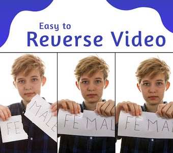 Image 3 for Reverse Video Maker - HD …