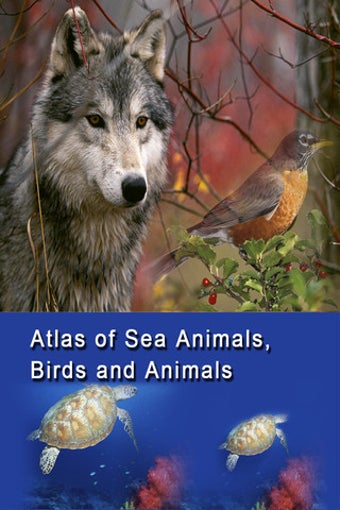 Image 0 for Atlas: Birds, Sea Animals…