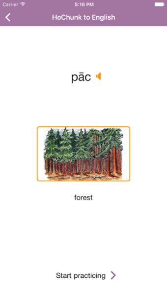 Image 2 for Hochunk Vocab Builder