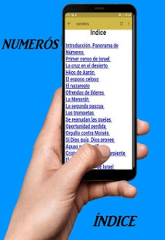 Imagen 2 para La Torah Explicada verso …