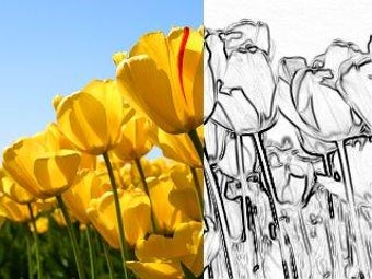 Image 5 for LazPaint Portable (64-bit…