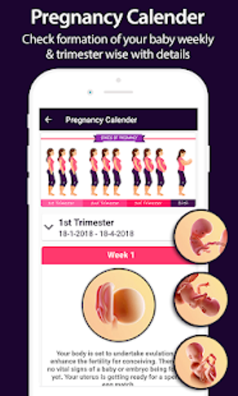 Imagen 3 para Pregnancy Exercise and wo…