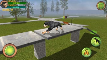Image 3 for Rottweiler Dog Life Simul…