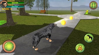 Image 2 for Rottweiler Dog Life Simul…