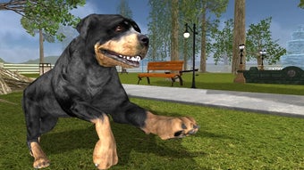 Image 0 for Rottweiler Dog Life Simul…