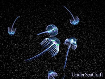 Image 0 for Active Jellyfish Screensa…