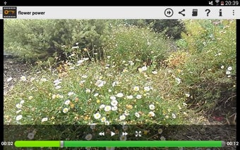 Image 2 for Video Safe