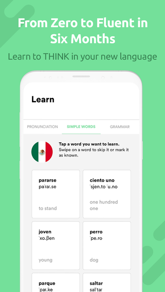 Imagen 0 para Fluent Forever