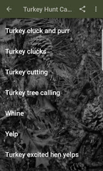 Image 3 for Turkey Hunt Calls
