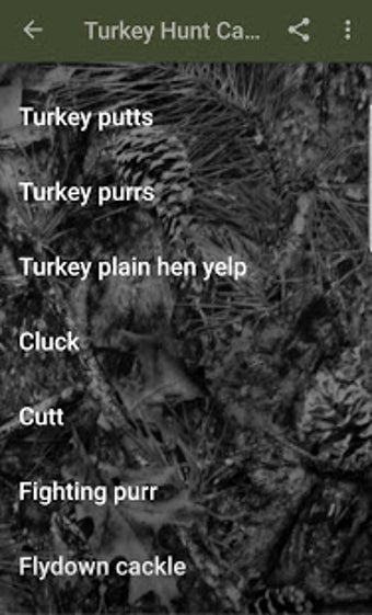 Image 2 for Turkey Hunt Calls