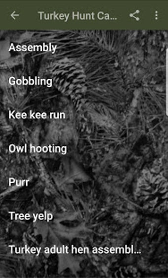 Image 1 for Turkey Hunt Calls