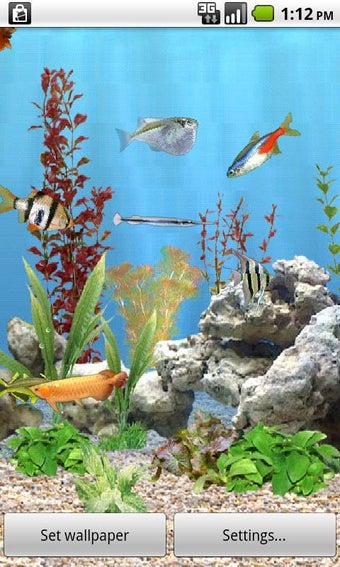 Imagen 0 para aniPet Freshwater Live WP