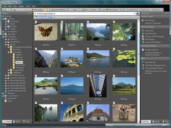 Imagen 0 para Photo Manager 2010 Standa…
