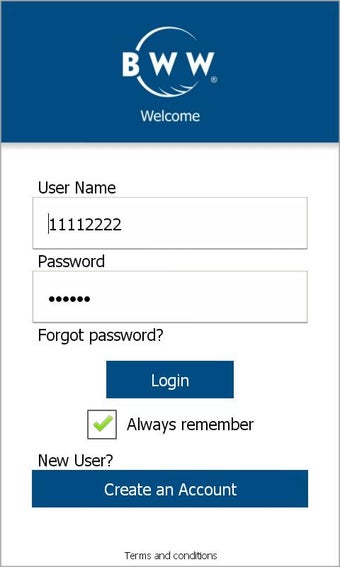 Imagen 2 para BWW Smartouch