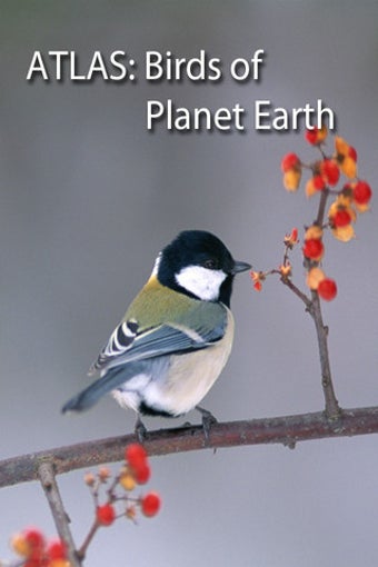 Imagen 0 para Birds on Planet Earth