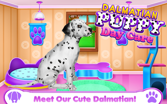 Image 2 for Dalmatian Puppy Day Care