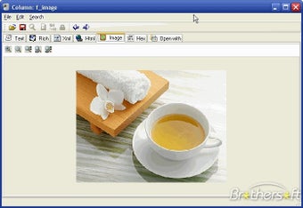 Image 0 for SqlLobEditor