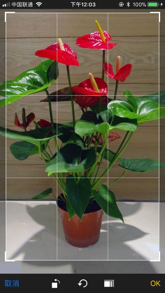 Imagen 0 para iFlowers - Plant identifi…