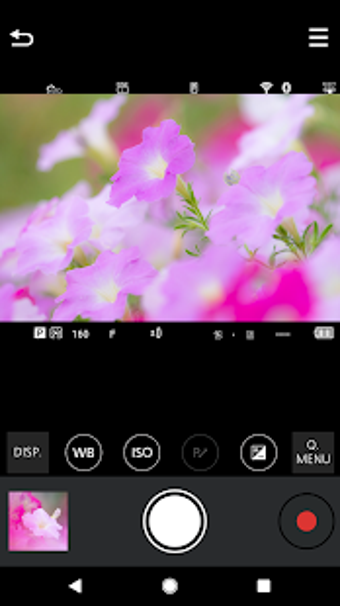 Imagen 3 para Panasonic LUMIX Sync