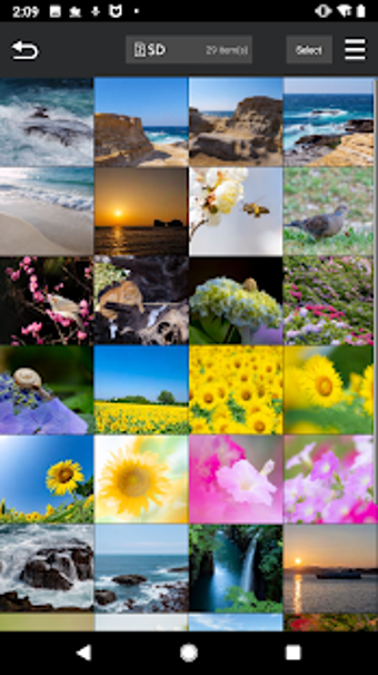 Imagen 0 para Panasonic LUMIX Sync