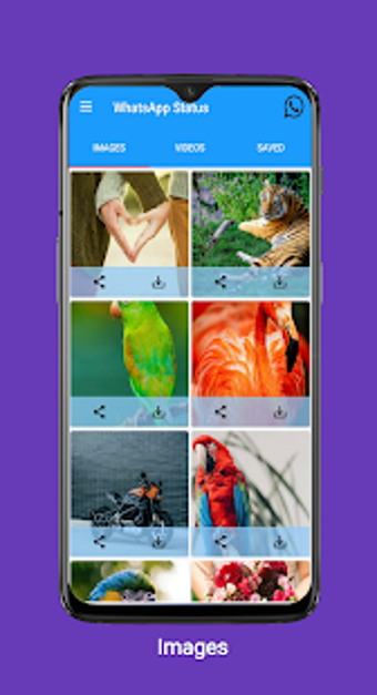 Imagen 1 para Status Saver For Whatsapp…