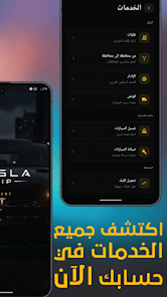 Image 0 for TESLA VIP