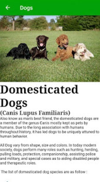 Imagen 0 para World Animal Encyclopedia