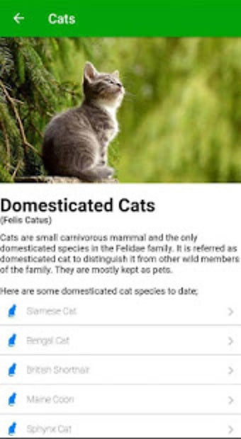 Imagen 3 para World Animal Encyclopedia