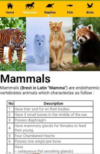Imagen 1 para World Animal Encyclopedia