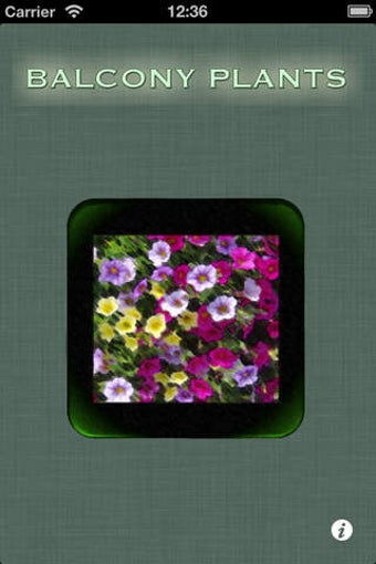 Imagen 0 para Balcony Plants