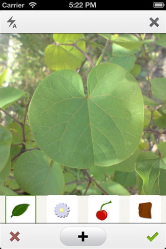 Image 1 for PlantNet