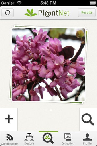 Image 2 for PlantNet