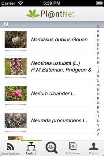 Image 1 for PlantNet