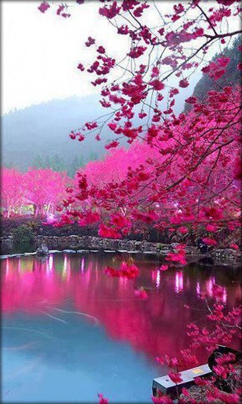 Imagen 3 para Landscape Live Wallpaper