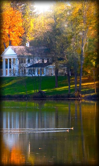 Imagen 8 para Landscape Live Wallpaper
