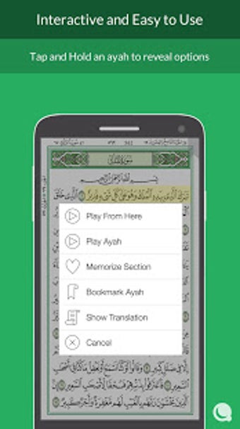 Image 2 for Quran Madina