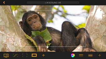 Image 0 for Artemis Pro