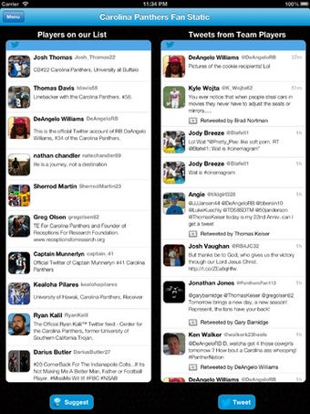 Image 2 for Panthers Fan Static