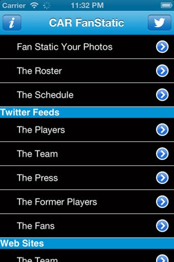 Image 3 for Panthers Fan Static