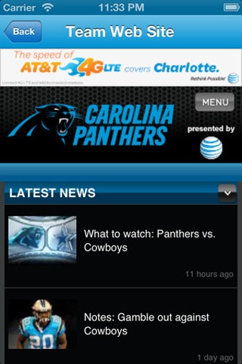 Image 4 for Panthers Fan Static