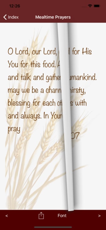 Image 3 for Mealtime Prayers